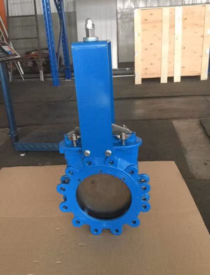 Di Body Swing Worm Gear Knife Gate Valve with Ce Approval